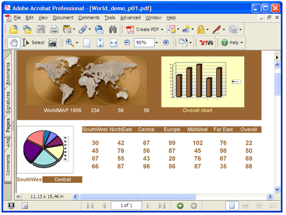 The converted document in Adobe Acrobat.